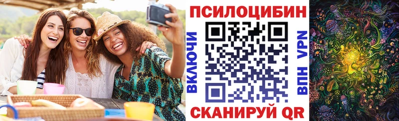 дарнет шоп  маркетплейс официальный сайт  Галлюциногенные грибы прущие грибы  Лихославль  блэк спрут как зайти 